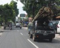 A truck loaded with bamboo
